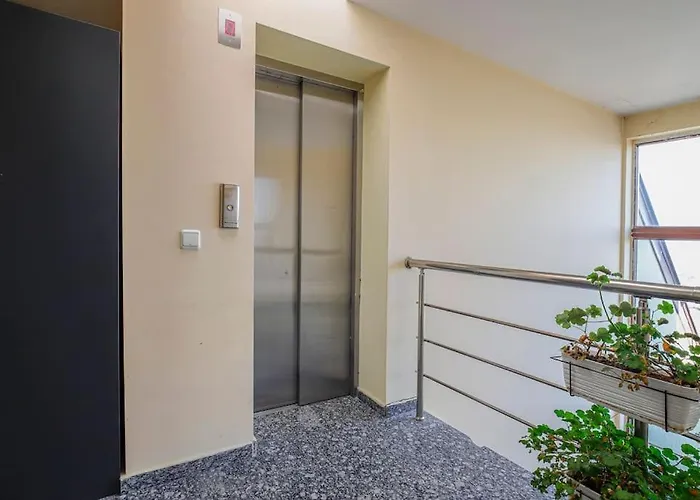 20% Given Discount 2bdr Dragalevtsi *